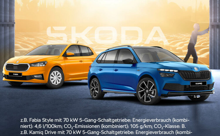  Skoda Lageraktion