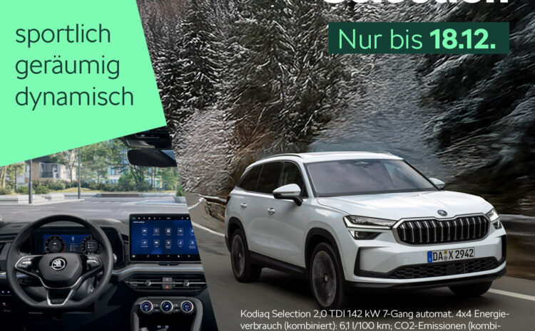  Der Kodiaq Selection