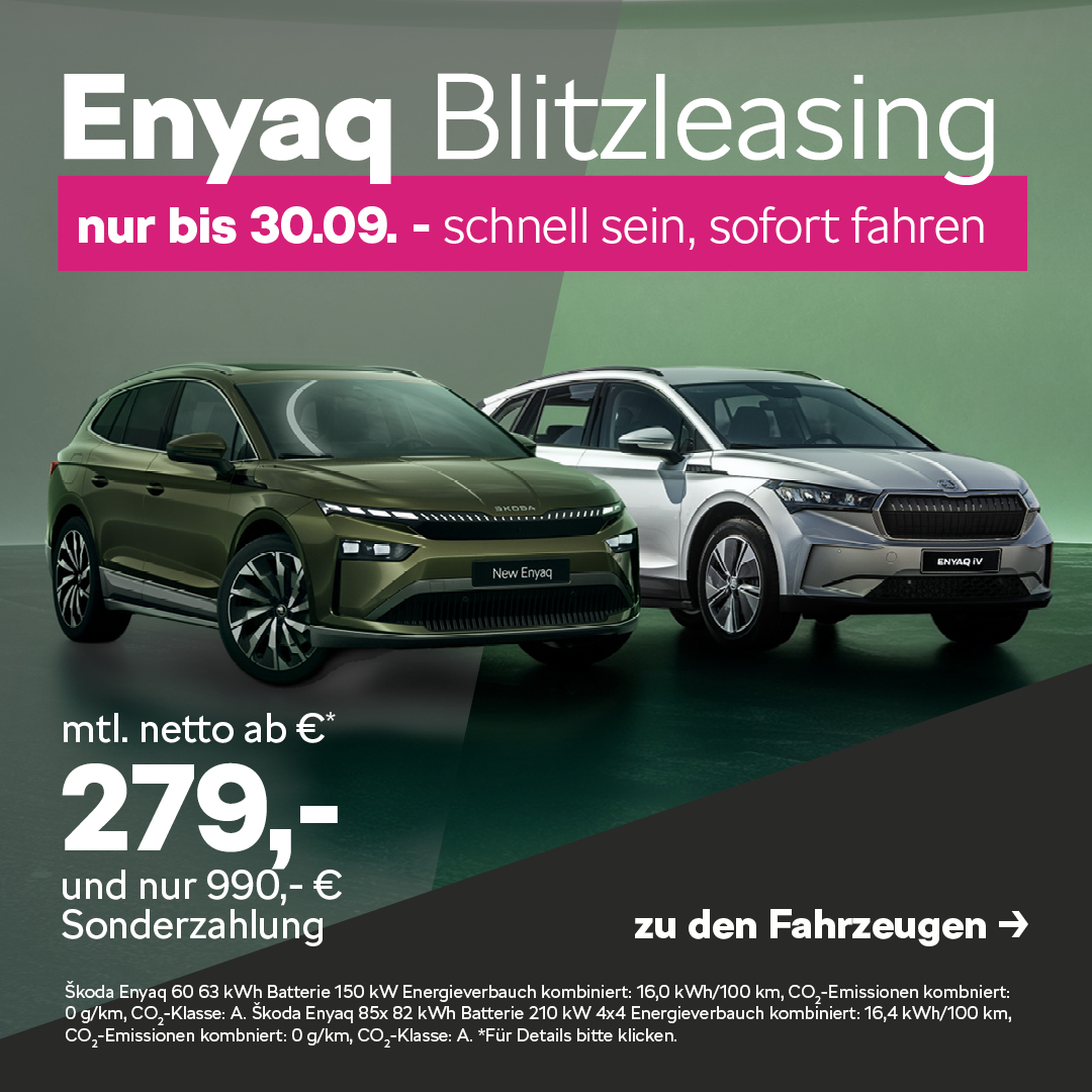 BEITRAG Skoda Enyaq Lagerwagen
