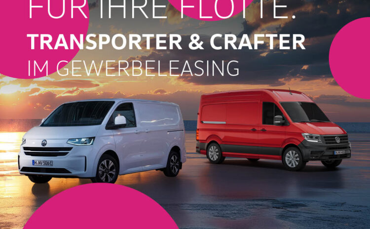  Kastenwagen für Ihre Flotte